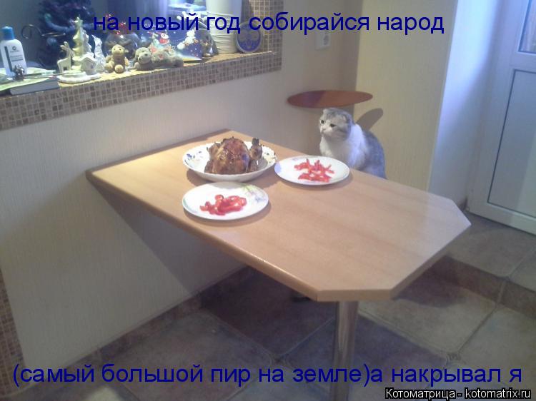на новый год собирайся народ (самый большой пир на земле)а накрывал я... Котоматрица: на новый год собирайся народ (самый большой пир на земле)а накрывал я