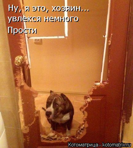 Ну, я это, хозяин... увлекся немного Прости... Котоматрица: Ну, я это, хозяин... увлекся немного Прости