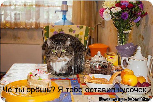 Чё ты орёшь? Я тебе оставил кусочек... Котоматрица: Чё ты орёшь? Я тебе оставил кусочек