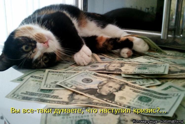 Котоматрица: Вы все-таки думаете, что наступил кризис?...