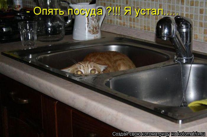 Котоматрица: - Опять посуда ?!!! Я устал.....