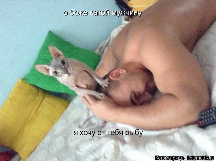 о боже какой мужчину я хочу от тебя рыбу... Котоматрица: о боже какой мужчину я хочу от тебя рыбу