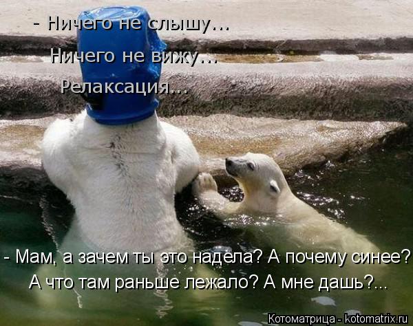 - Мам, а зачем ты это надела? А почему синее? А что там раньше лежало? А мне дашь?... Релаксация... ... Котоматрица: - Мам, а зачем ты это надела? А почему синее? А что там раньше лежало? А мне дашь?... Релаксация... - Ничего не слышу... Ничего не вижу...