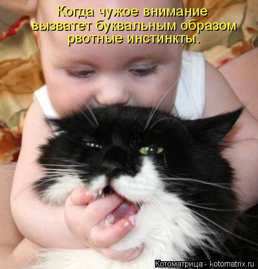 Котоматрица: Когда чужое внимание  вызватет буквальным образом рвотные инстинкты.