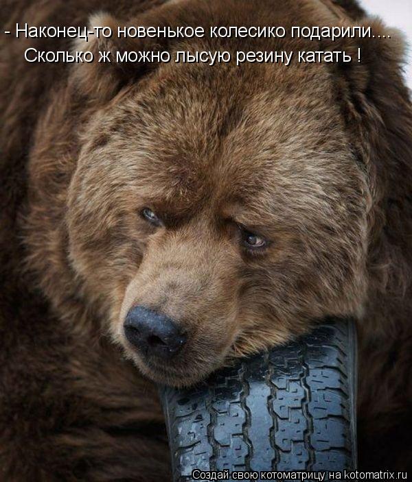 Котоматрица: - Наконец-то новенькое колесико подарили.... Сколько ж можно лысую резину катать !