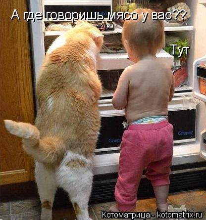 Котоматрица: А где говоришь мясо у вас?? Тут