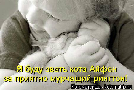 Котоматрица: Я буду звать кота Айфон за приятно мурчащий рингтон!