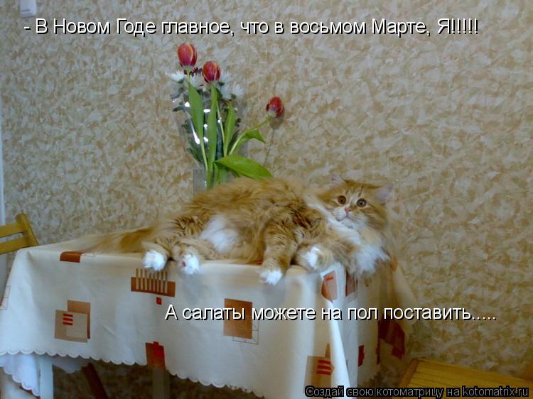 Котоматрица: - В Новом Годе главное, что в восьмом Марте, Я!!!!! А салаты можете на пол поставить.....