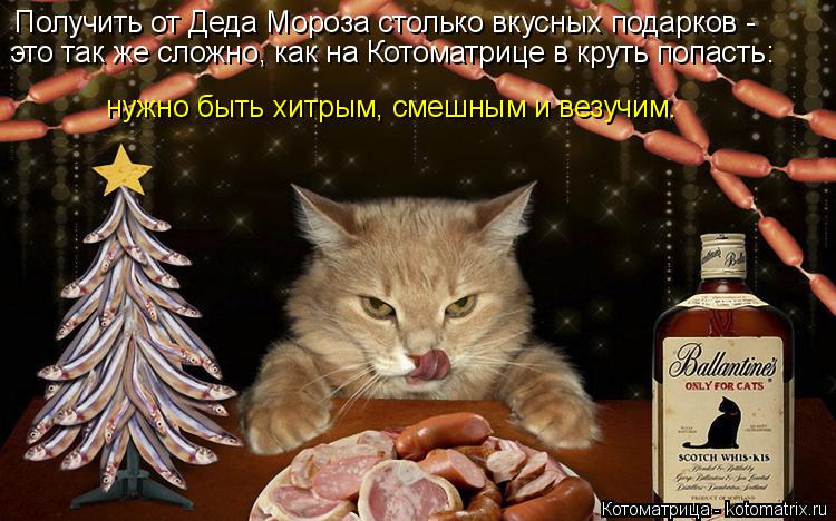 Получить от Деда Мороза столько вкусных подарков - это так же сложно, как на Котоматрице в круть попа... Котоматрица: Получить от Деда Мороза столько вкусных подарков - это так же сложно, как на Котоматрице в круть попасть: нужно быть хитрым, смешным и везучи