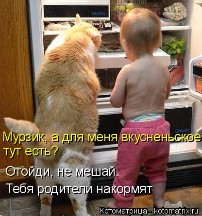 Котоматрица: Мурзик, а для меня вкусненьское тут есть? Отойди, не мешай.  Тебя родители накормят