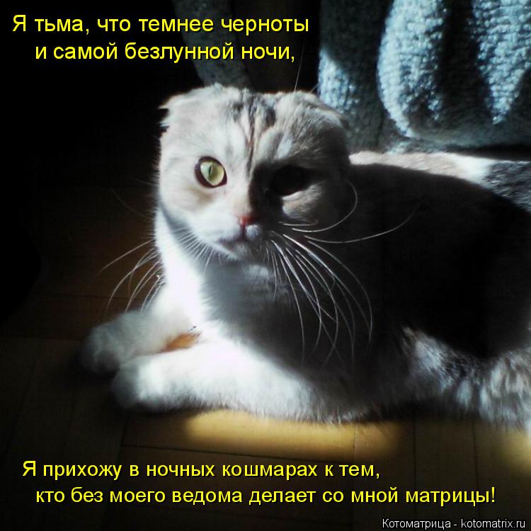 Котоматрица: Я тьма, что темнее черноты  и самой безлунной ночи, Я прихожу в ночных кошмарах к тем, кто без моего ведома делает со мной матрицы!