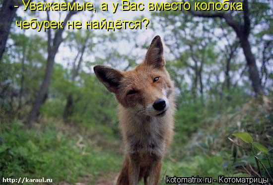- Уважаемые, а у Вас вместо колобка чебурек не найдётся?... Котоматрица: - Уважаемые, а у Вас вместо колобка чебурек не найдётся?