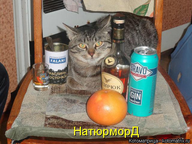 Котоматрица: НатюрморД