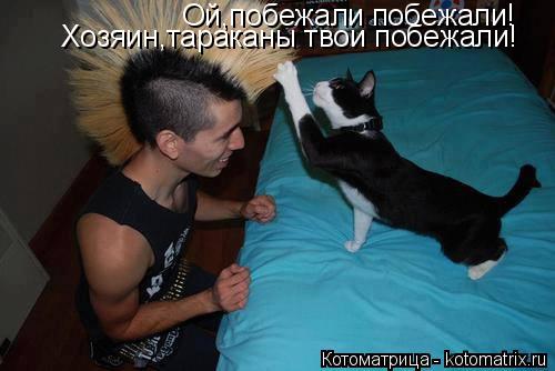Ой,побежали побежали! Хозяин,тараканы твои побежали!... Котоматрица: Ой,побежали побежали! Хозяин,тараканы твои побежали!