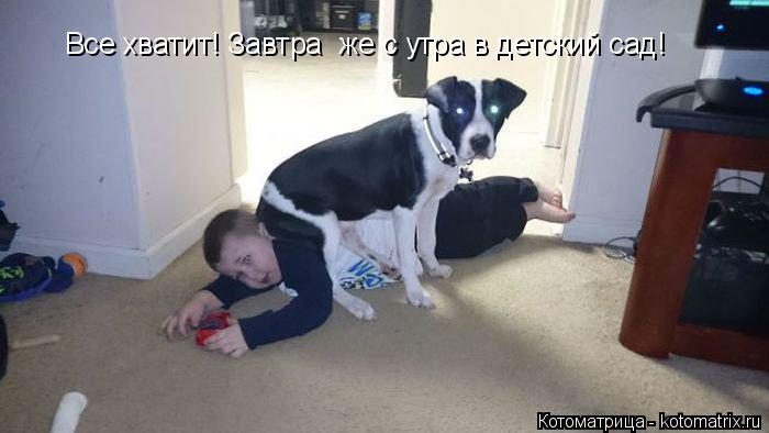Котоматрица: Все хватит! Завтра  же с утра в детский сад!