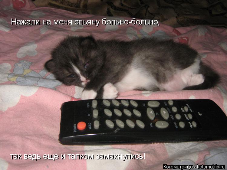 Котоматрица: Нажали на меня спьяну больно-больно,  так ведь еще и тапком замахнулись!