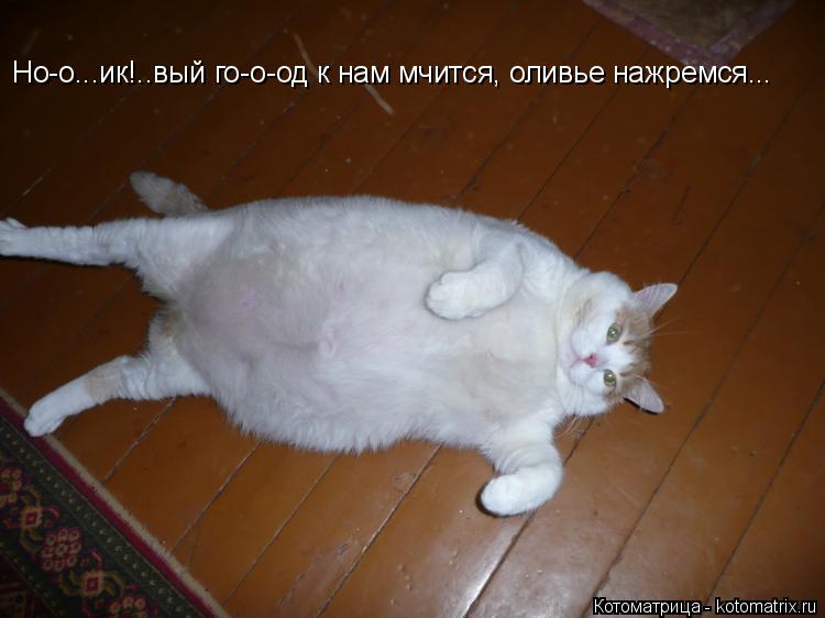 Котоматрица: Но-о...ик!..вый го-о-од к нам мчится, оливье нажремся...