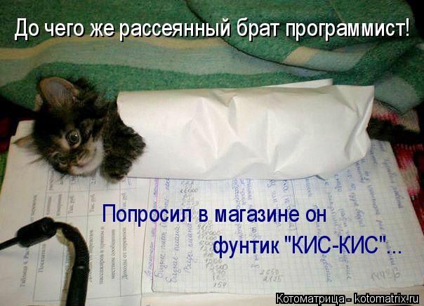 До чего же рассеянный брат программист! Попросил в магазине он фунтик "КИС-КИС"...... Котоматрица: До чего же рассеянный брат программист! Попросил в магазине он фунтик "КИС-КИС"...