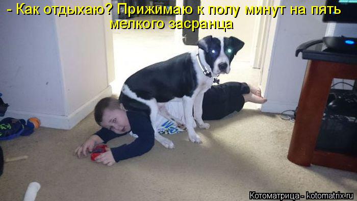 Котоматрица: - Как отдыхаю? Прижимаю к полу минут на пять мелкого засранца