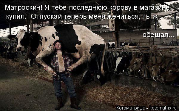 Котоматрица: Матроскин! Я тебе последнюю корову в магазине  купил.  Отпускай теперь меня жениться, ты ж  обещал...