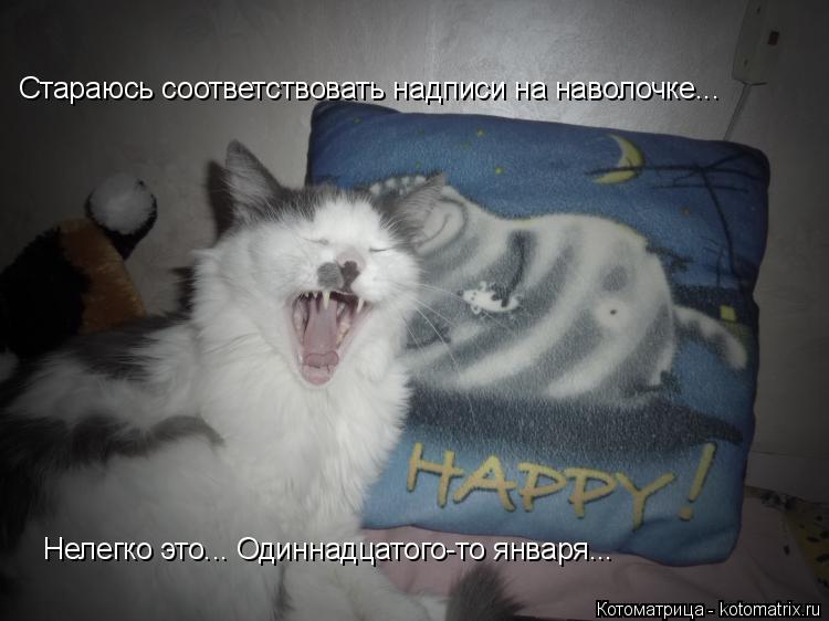 Котоматрица: Стараюсь соответствовать надписи на наволочке... Нелегко это... Одиннадцатого-то января...
