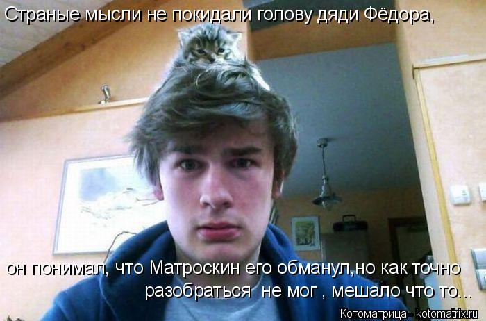 Котоматрица: Страные мысли не покидали голову дяди Фёдора, он понимал, что Матроскин его обманул,но как точно  разобраться  не мог , мешало что то...