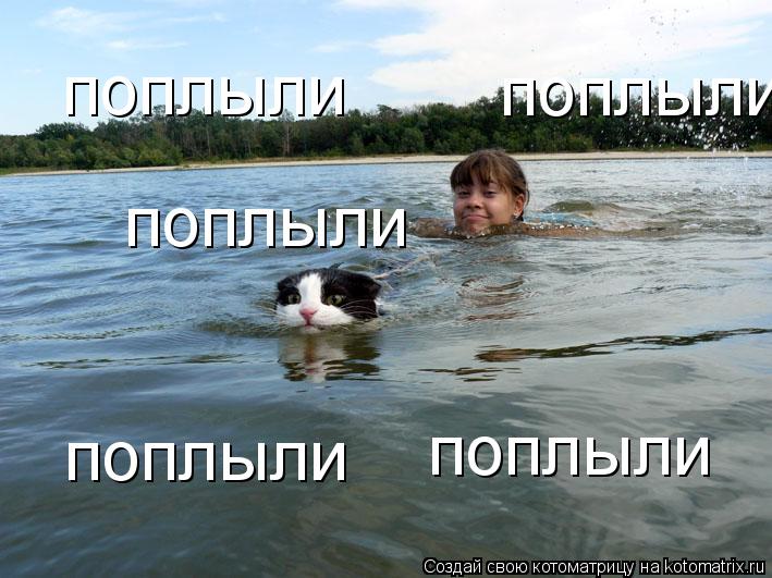 поплыли поплыли поплыли поплыли поплыли... Котоматрица: поплыли поплыли поплыли поплыли поплыли