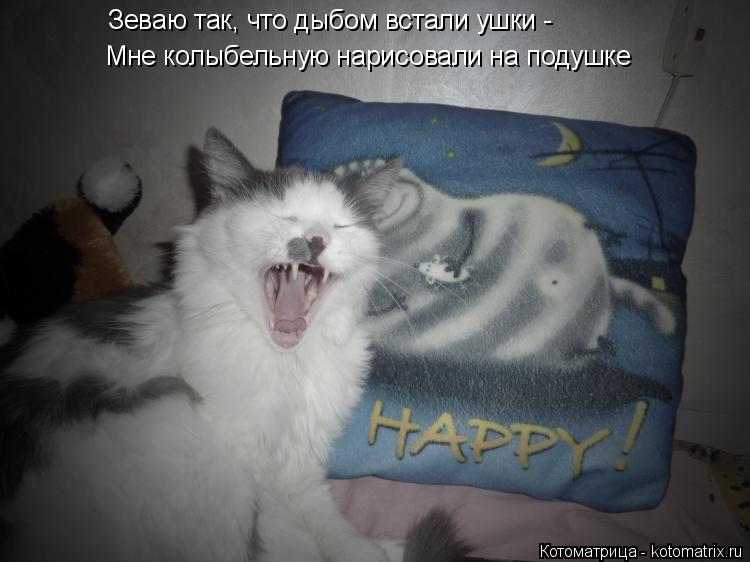 Котоматрица: Зеваю так, что дыбом встали ушки - Мне колыбельную нарисовали на подушке
