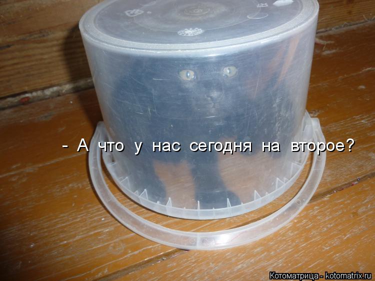 Котоматрица: -  А  что  у  нас  сегодня  на  второе?