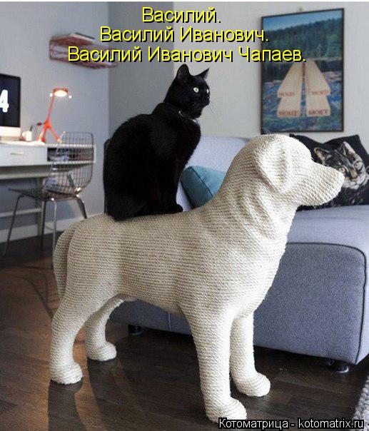 Котоматрица: Василий. Василий Иванович. Василий Иванович Чапаев.