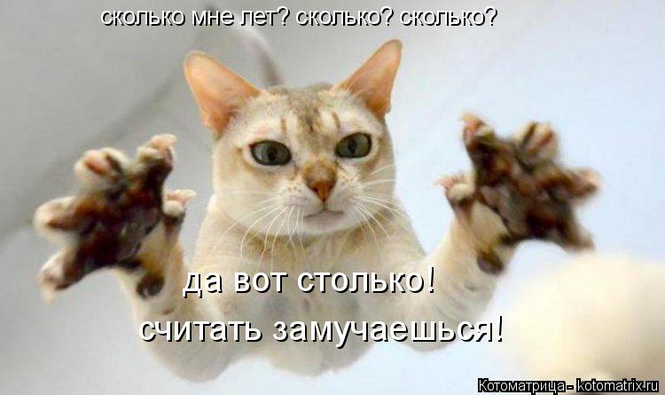 сколько мне лет? сколько? сколько? да вот столько! считать замучаешься!... Котоматрица: сколько мне лет? сколько? сколько? да вот столько! считать замучаешься!