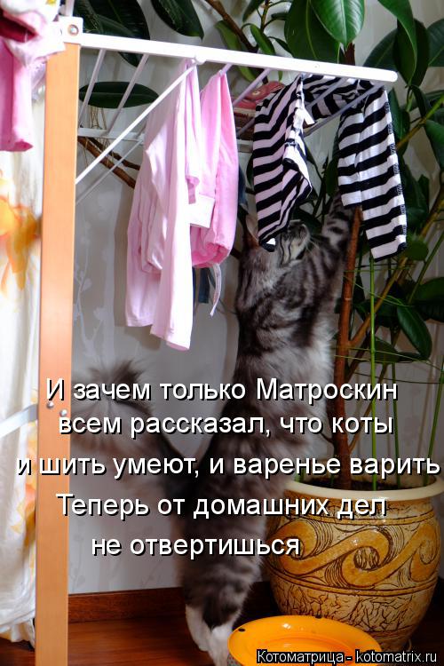 Котоматрица: И зачем только Матроскин и шить умеют, и варенье варить всем рассказал, что коты Теперь от домашних дел не отвертишься