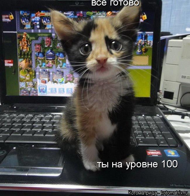 всё готово ты на уровне 100... Котоматрица: всё готово ты на уровне 100