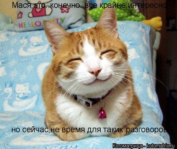Котоматрица: Мася,это..конечно..все крайне,интересно... но сейчас,не время для таких разговоров!!