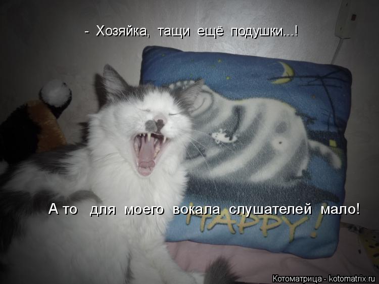 Котоматрица: -  Хозяйка,  тащи  ещё  подушки...!  А то   для  моего  вокала  слушателей  мало!