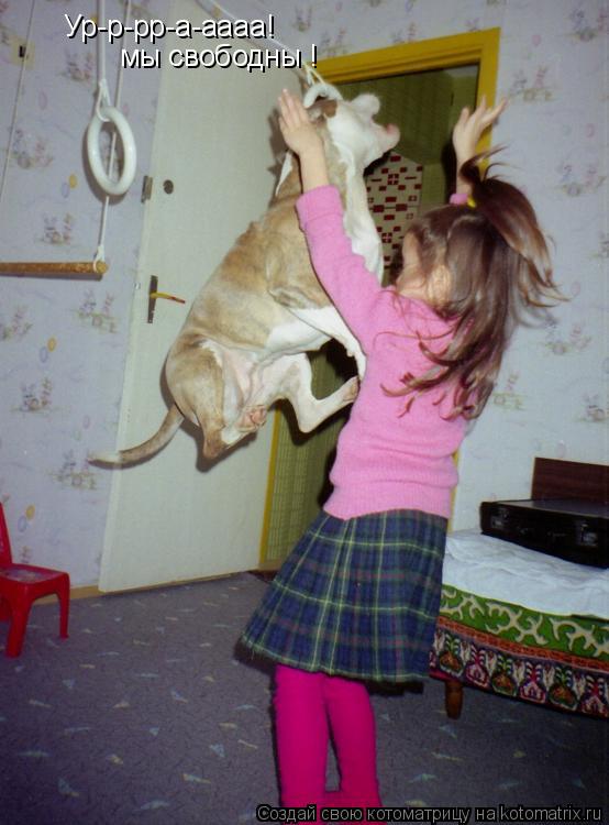 Котоматрица: Ур-р-рр-а-аааа! мы свободны !