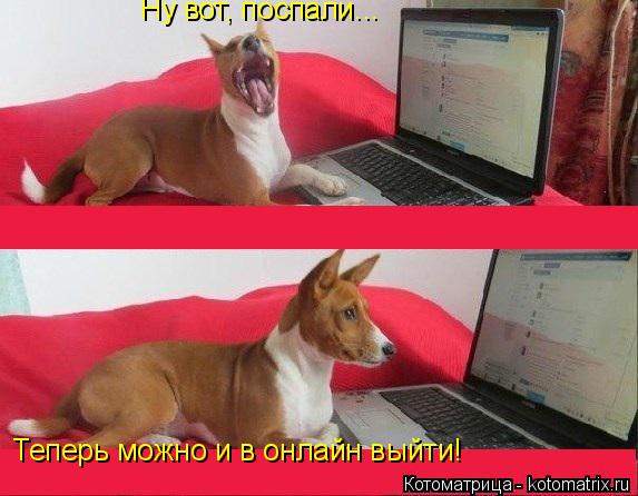 Котоматрица: Ну вот, поспали... Теперь можно и в онлайн выйти!
