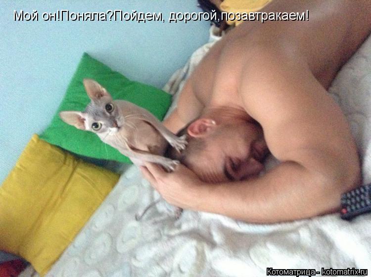 Котоматрица: Мой он!Поняла?Пойдем, дорогой,позавтракаем!