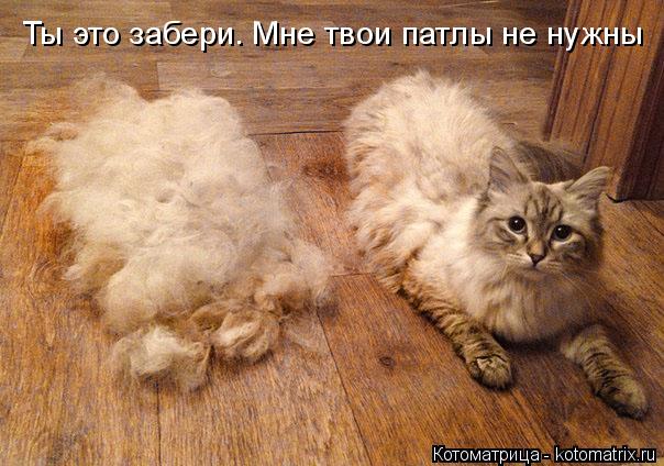 Котоматрица: Ты это забери. Мне твои патлы не нужны
