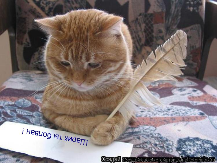 Котоматрица: Шарик ты болван !