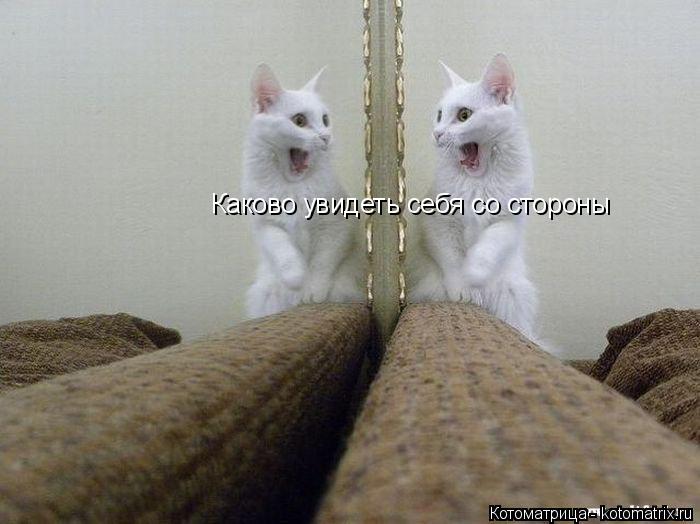 Каково увидеть себя со стороны Каково увидеть себя со стороны... Котоматрица: Каково увидеть себя со стороны Каково увидеть себя со стороны