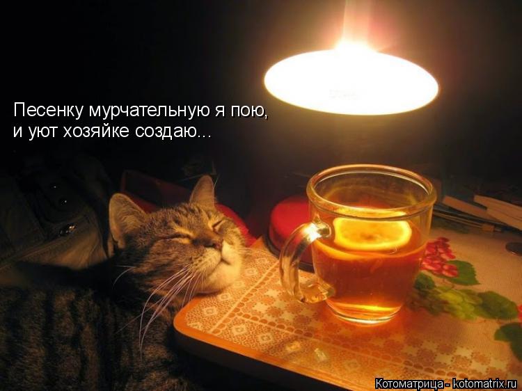 Котоматрица: Песенку мурчательную я пою, и уют хозяйке создаю...