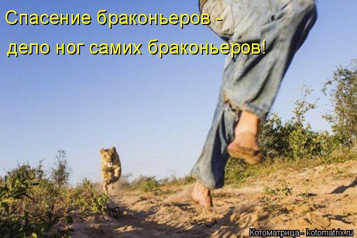 Котоматрица: Спасение браконьеров - дело ног самих браконьеров!