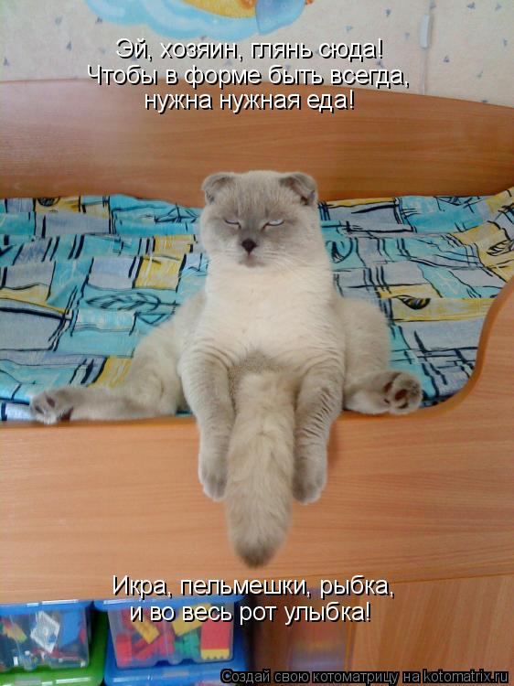 Эй, хозяин, глянь сюда! Чтобы в форме быть всегда, нужна нужная еда! Икра, пельмешки, рыбка, и во ве... Котоматрица: Эй, хозяин, глянь сюда! Чтобы в форме быть всегда, нужна нужная еда! Икра, пельмешки, рыбка, и во весь рот улыбка!
