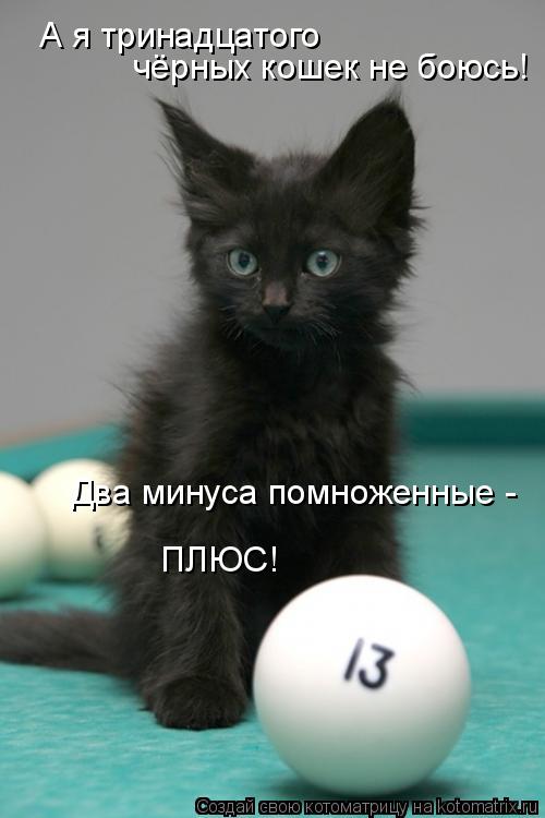 Котоматрица: А я тринадцатого чёрных кошек не боюсь! ПЛЮС! Два минуса помноженные -