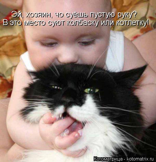 Эй, хозяин, чо суёшь пустую руку? В это место суют колбаску или котлетку!... Котоматрица: Эй, хозяин, чо суёшь пустую руку? В это место суют колбаску или котлетку!