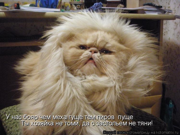 У нас бояр чем меха гуще тем пиров пуще Ты хозяйка не томи, да с застольем не тяни!... Котоматрица: У нас бояр чем меха гуще тем пиров пуще Ты хозяйка не томи, да с застольем не тяни!