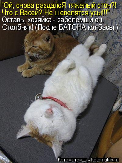 Котоматрица: "Ой, снова раздалсЯ тяжелый стон?! Что с Васей? Не шевелятся усы!!!" Оставь, хозяйка - заболемши он: Столбняк! (После БАТОНА колбасы.)