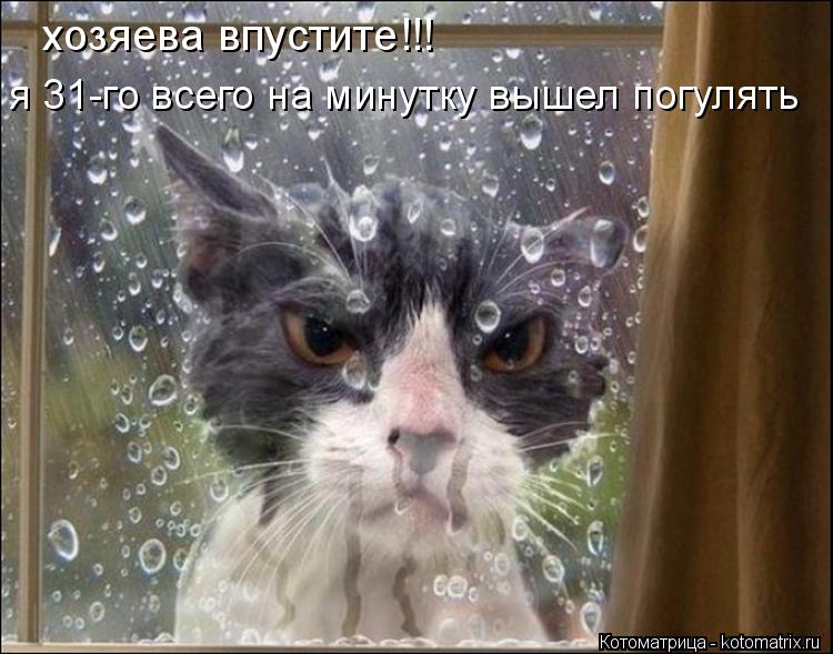 Котоматрица: хозяева впустите!!! я 31-го всего на минутку вышел погулять