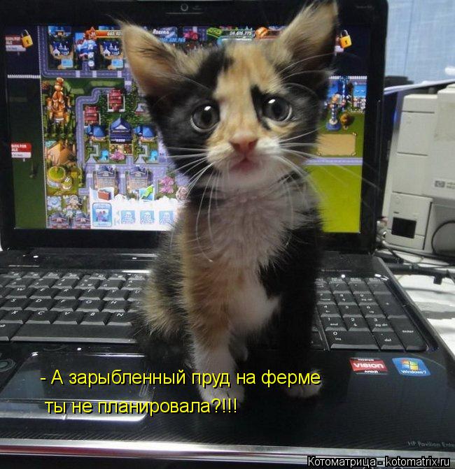 Котоматрица: - А зарыбленный пруд на ферме ты не планировала?!!!